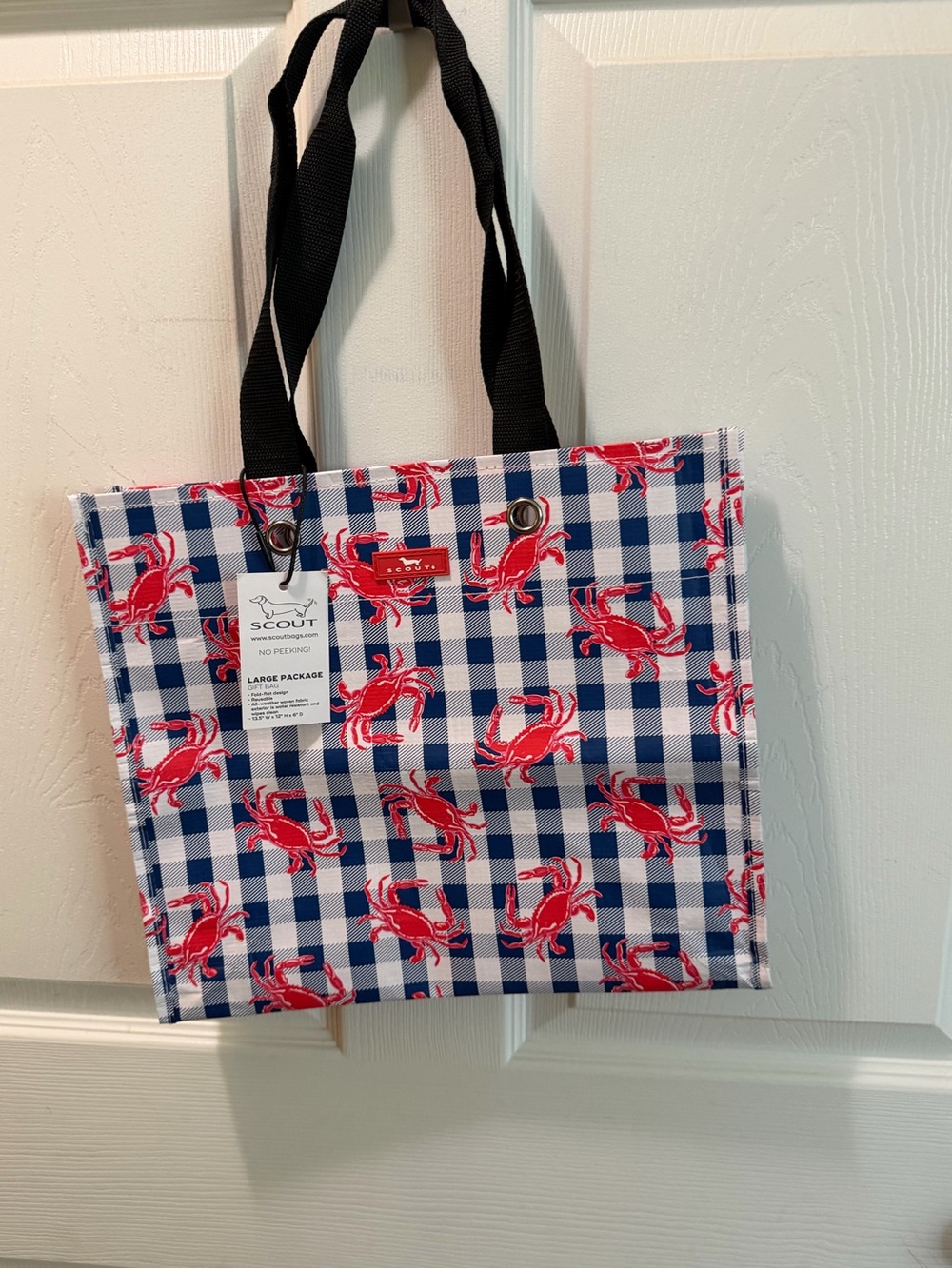 NWT Scout Large Package Gift/Tote Bag